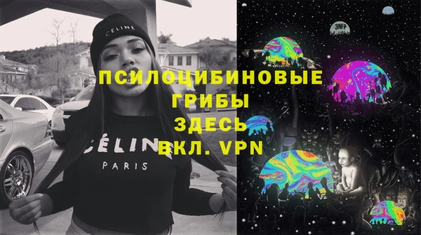 ешки Алексеевка