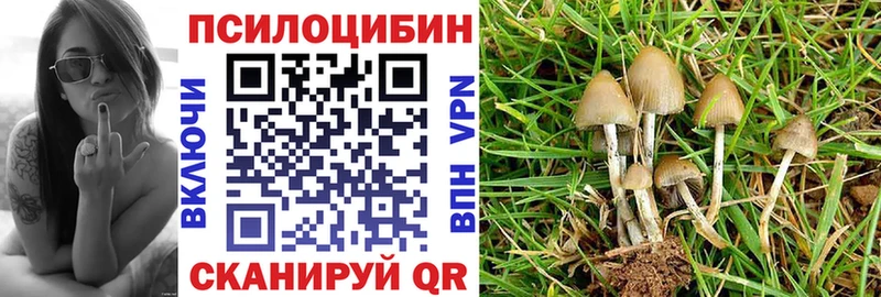 Галлюциногенные грибы мухоморы  mega онион  Таруса  где купить наркоту 